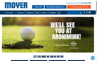 Moyer Tax Services website