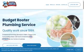 Budget Rooter Service, Inc. website