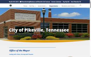 The Mayor of Old Town website