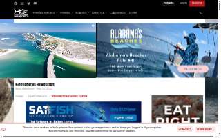 Kingfisher website