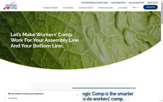 Strategic Tax Accountant Services website