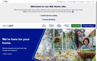 Electric Motor Service website