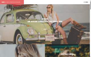 Den - Aveda Lifestyle Salon and Spa website