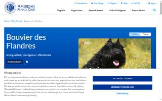 Bouvier Insurance, A HUB International Company of West Hartford website