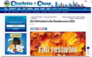 Fall Chiropractic PLLC website