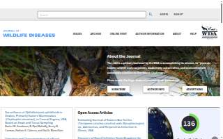 JWD Auto website