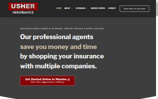 Insur-Mart LLC - Cindy Zenor website