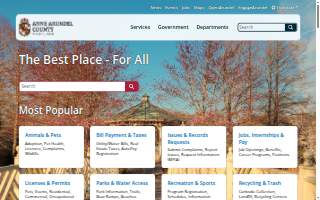 Nancy is best realtor we have encountered in Anne Arundel County. website