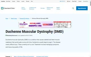 DMD Landscaping website