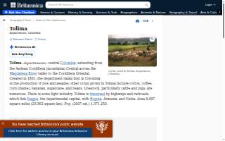 Tolima Coffee website