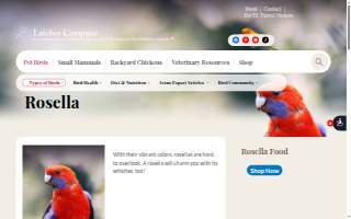 Rosella & Schecter Law Group Auto Accident Lawyers website