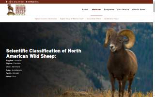 Bighorn Wealth Management website