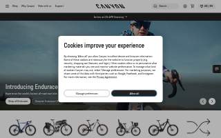 Canyon's Construction Services website