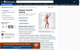 Muscle Monkey Functional Fitness website