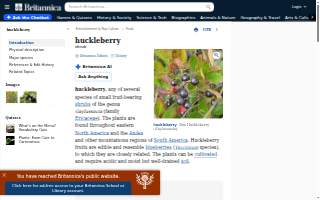 Huckleberry Roasters website