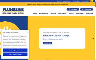 Plumbline Services website