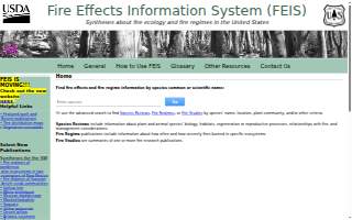 Feis & Company website
