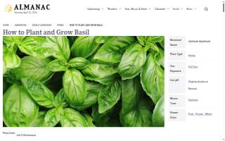 Basil Electric Inc website
