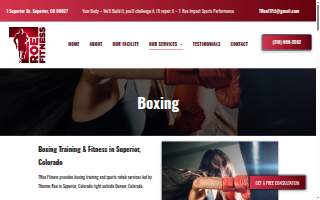 TRoe Fitness & Sports Rehab website