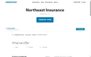 Northeast Insurance website
