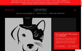 Hat City Vets website