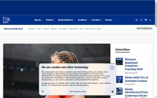Shalon Construction llc website