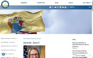 Katz & Co PC website