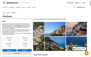 Positano Plumbing Inc website