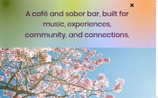 Grace's Place and the Rino Stage website