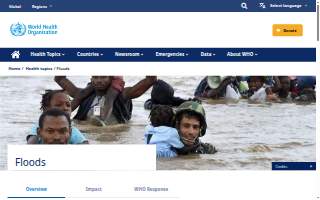 The Flood Law Firm LLC website