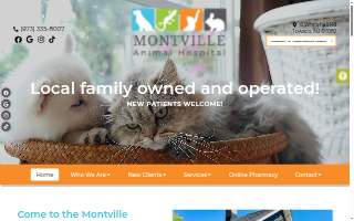Montville Animal Hospital website