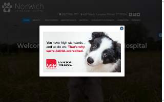 Norwich Veterinary Hospital website