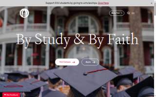 Collegiate Landscaping website