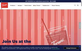 Torani Freight Llc website