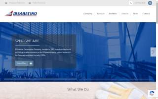 DiSabatino Landscaping of Bear website