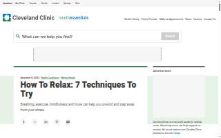 Relax Inn Smyrna website