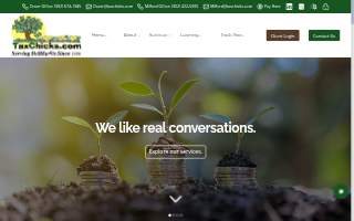 Tax Chicks of Milford website