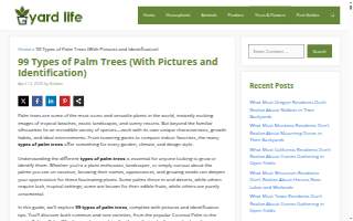Palm Construction & Remodeling Inc website