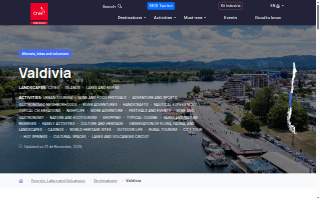 Valdivia Home Team website