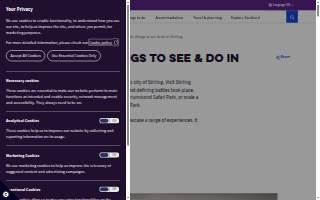 Stirling Real Estate website