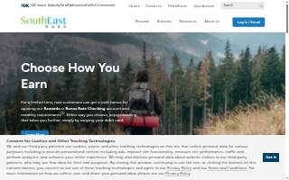 Southeast Car Agency website