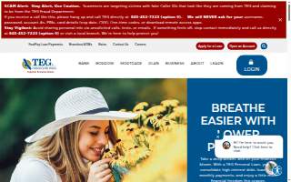TEG Construction website