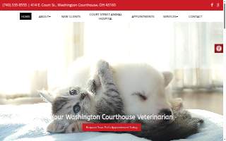 Court Street Animal Hospital website