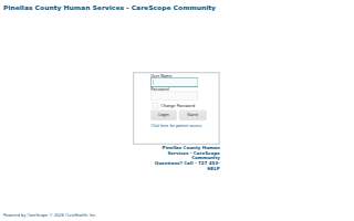 Pinellas Auto Service website