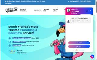 Flamingo Plumbing & Backflow website