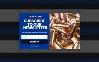 Bullet Delivery of West Palm Beach (Bullet PBI) website