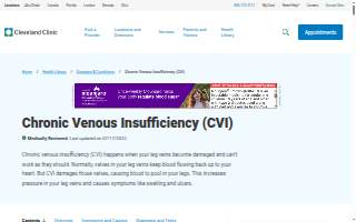 CVI.CHE 105 Boca Raton website