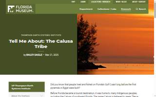 Calusa Veterinary Center website