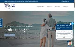 Selis Law Firm website