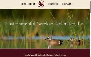 Electrical Services Unlimited, Inc. website